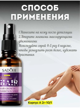 Одежда