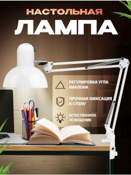 Одежда