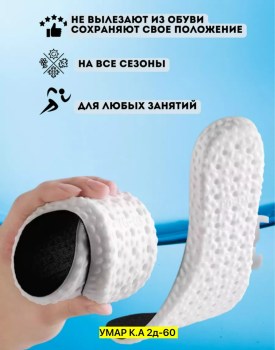 Одежда