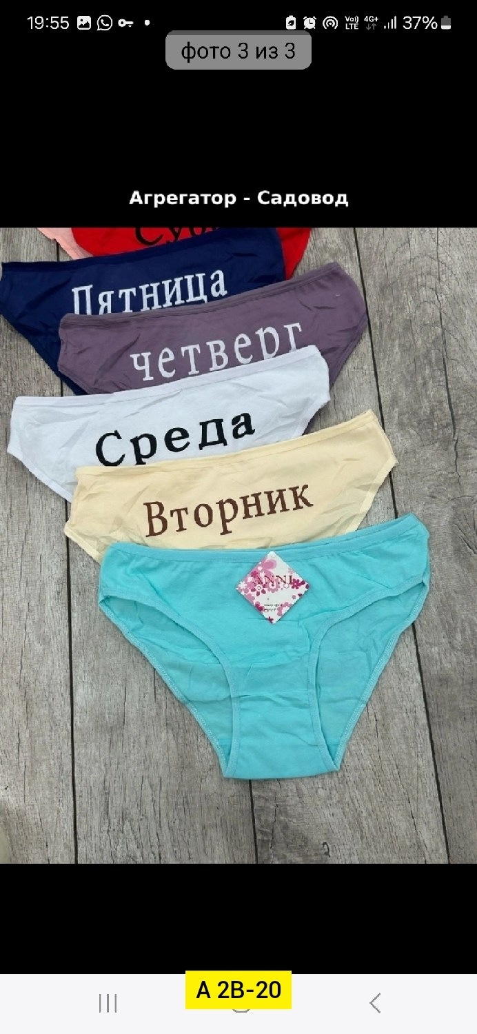трусы неделька 7 штук begain store,комплект трусов неделька,женские трусы неделька,трусы неделька 7 штук begain store 315202638,трусы женские 7 шт