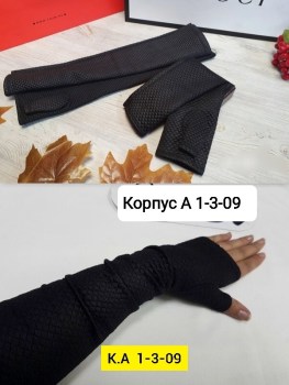 Одежда