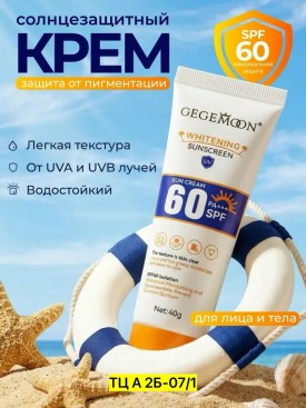 Одежда