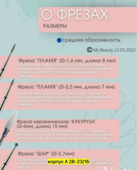 Одежда