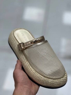 Сланцы
