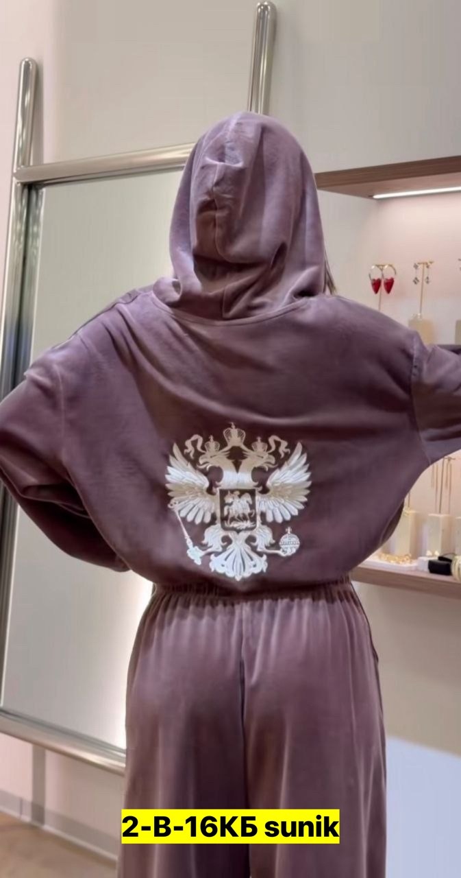 велюровый костюм,велюровый спортивная костюм,велюровый костюм женский,велюровый костюм alisiaberry 318324486,велюровый костюм с принтом alisiaberry