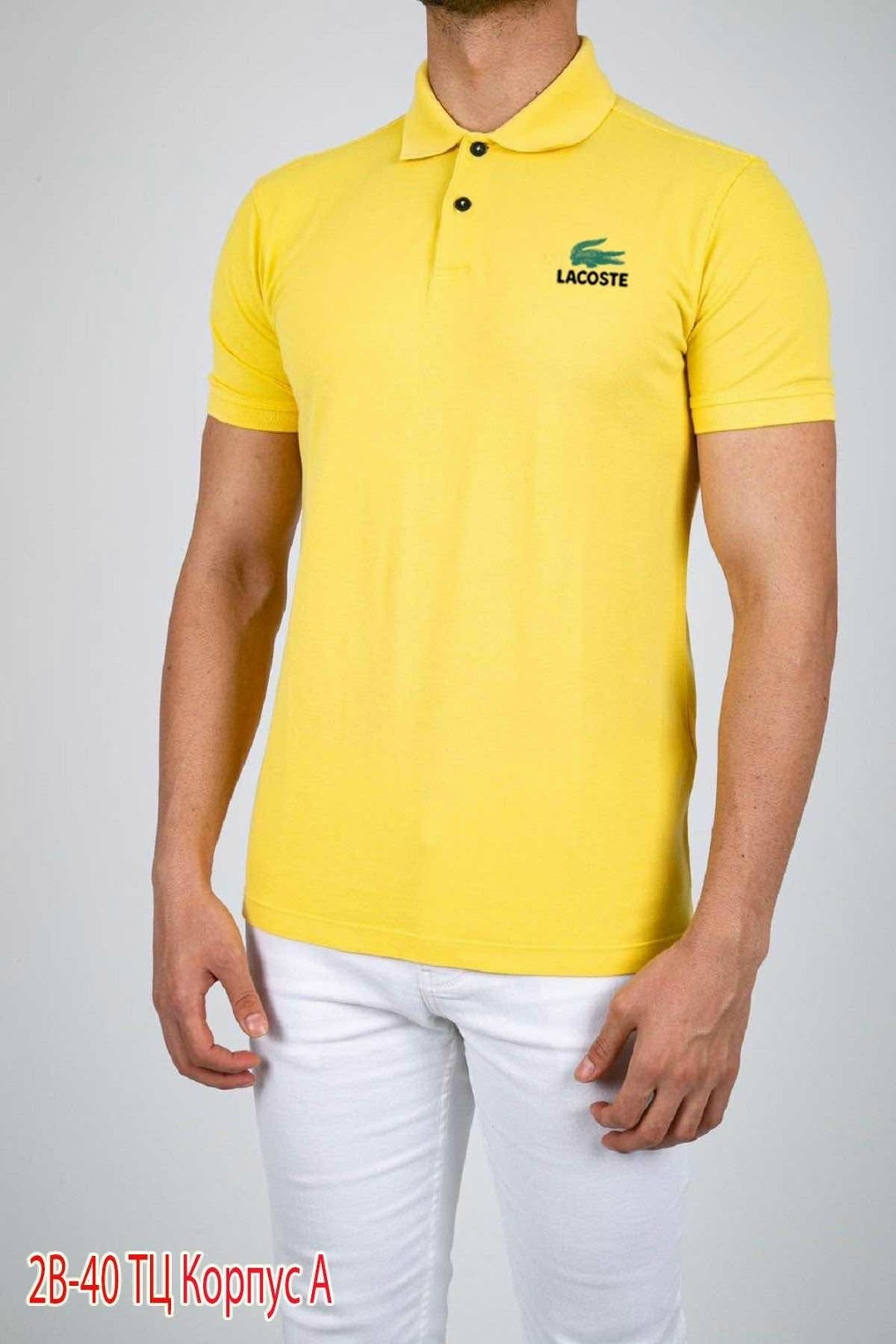 футболка поло мужская,поло lacoste,polo lacoste,футболка поло lacoste,поло с коротким рукавом мужское