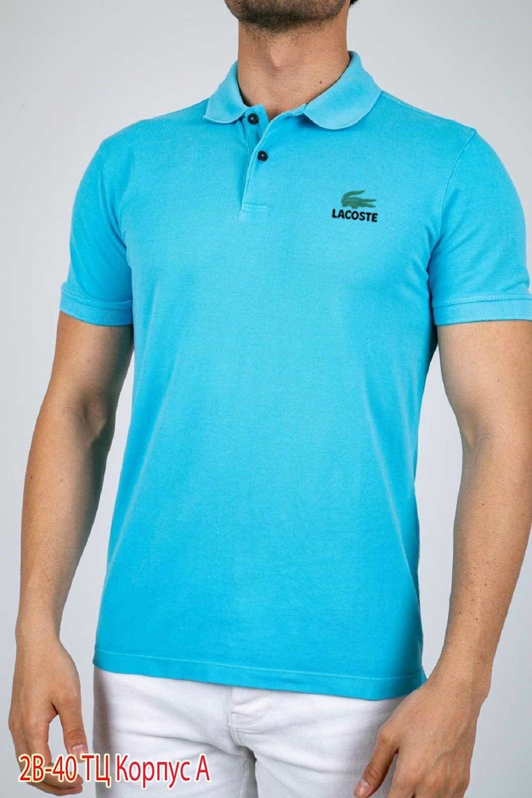 футболка поло мужская,поло lacoste,polo lacoste,футболка поло lacoste,поло с коротким рукавом мужское
