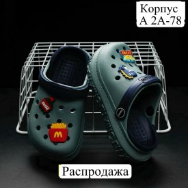 Сланцы