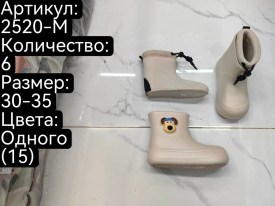 Сапоги