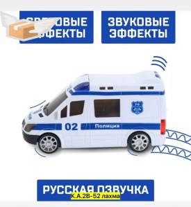 Одежда