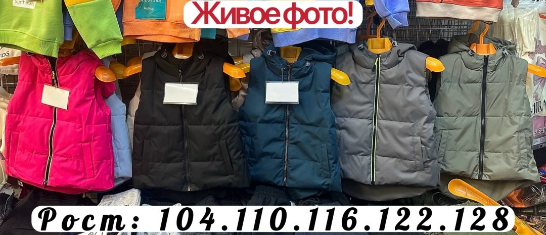 детский жилет,жилеты детские,жилетка детская,жилет утепленная,демисезонный жилет