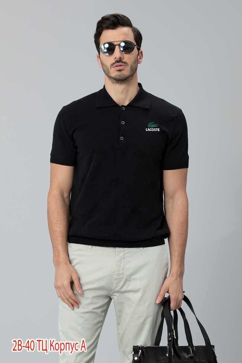 футболка поло мужская,поло lacoste,polo lacoste,футболка поло lacoste,поло с коротким рукавом мужское