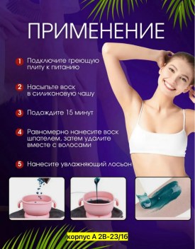 Одежда