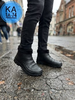 Одежда