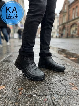 Одежда