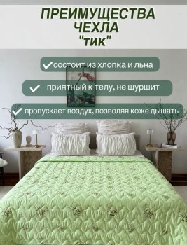 Одежда