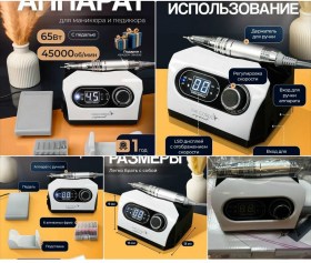 Одежда