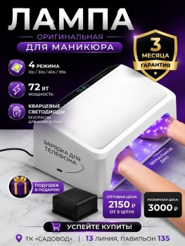 Одежда