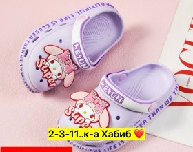 Сланцы