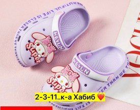 Сланцы