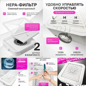 Одежда