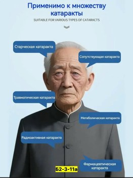 Одежда