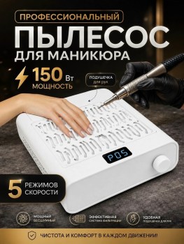 Одежда