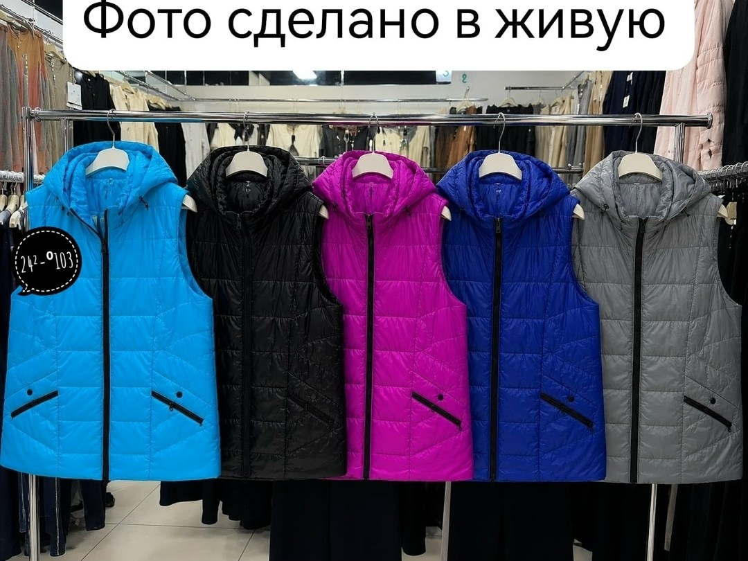 жилетка женская,жилетки,жилеты,жилеты женские,демисезонная жилетка