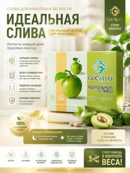 Одежда