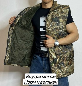Одежда