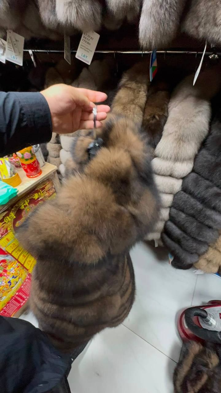 шуба из песца под соболь,шуба из песца,шуба песец под соболь,шуба соболь,шуба песец