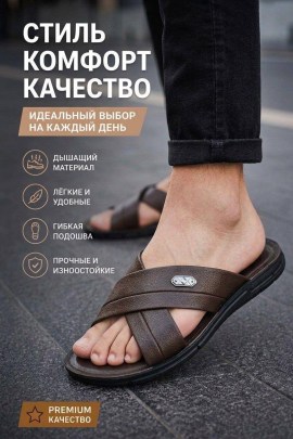 Сланцы