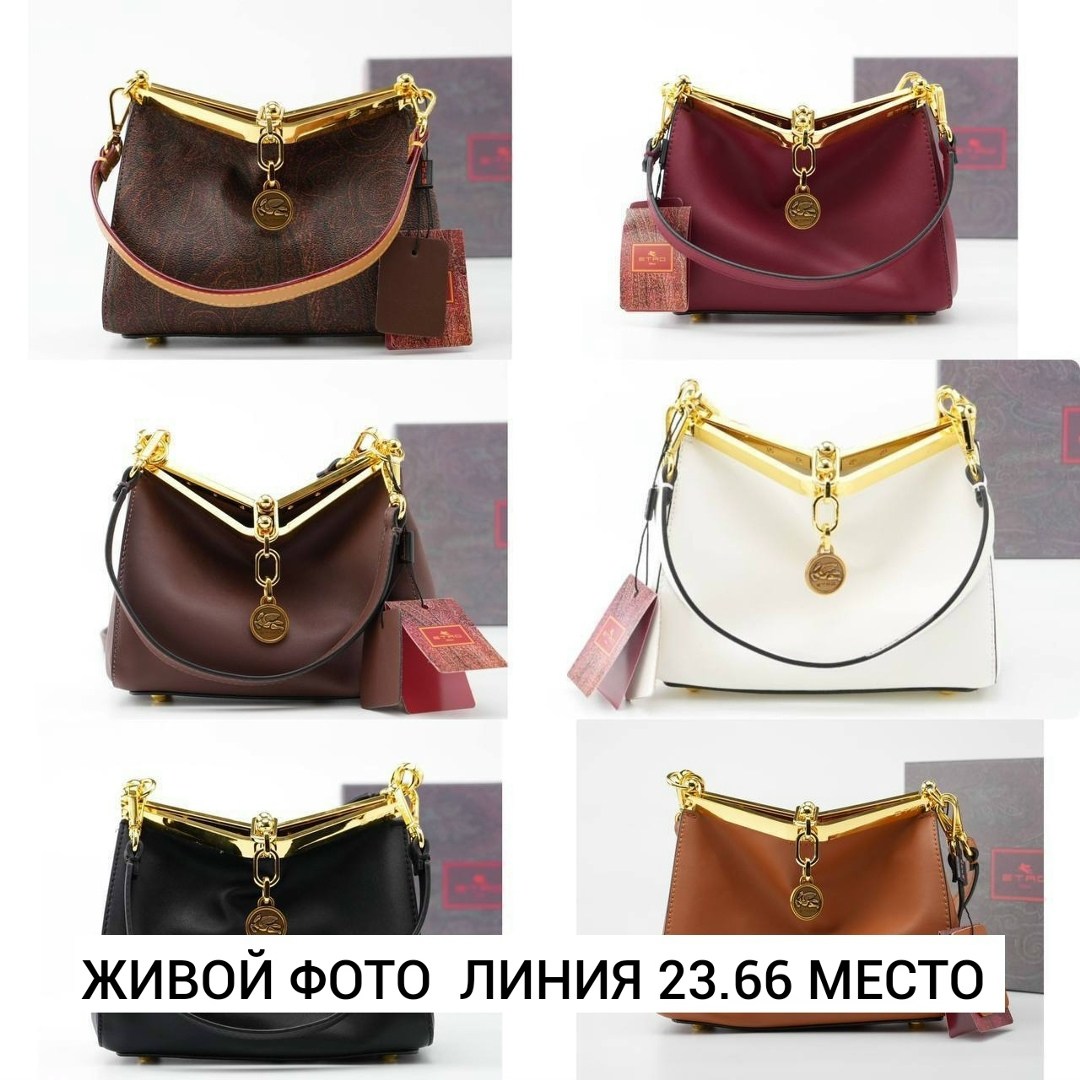 сумка,женские аксессуары,сумка женская,сумка etro,коричневая сумка
