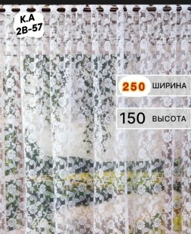 Одежда