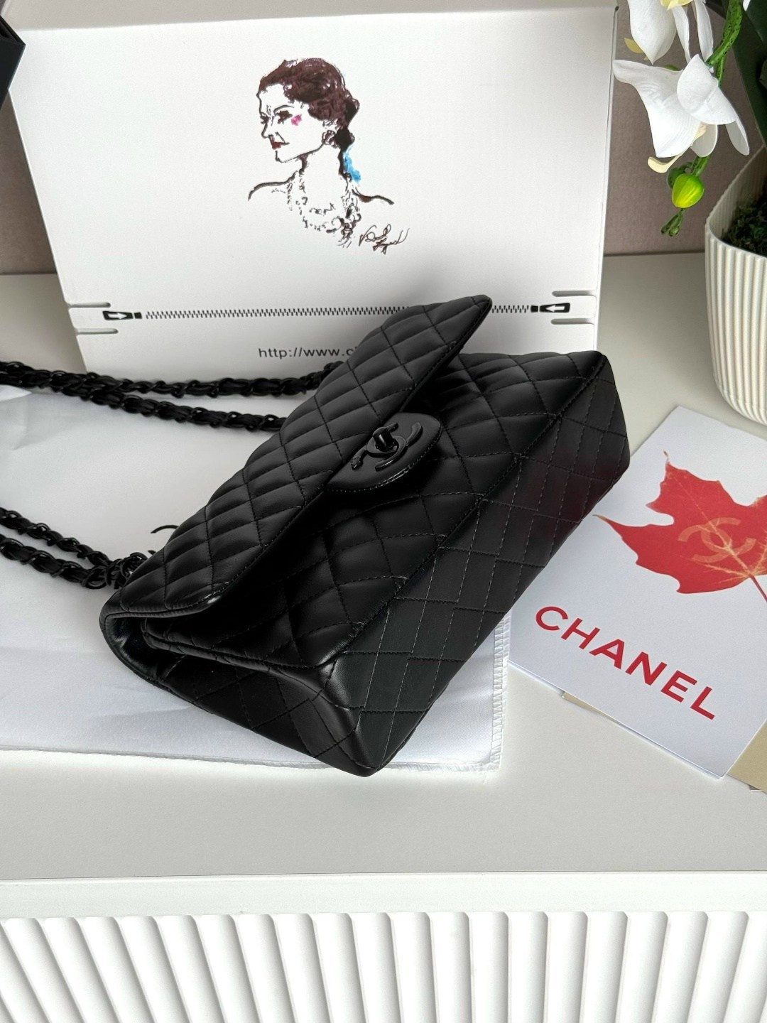 сумка chanel,женская сумка chanel,сумка шанель,сумка,сумка шанель n7606