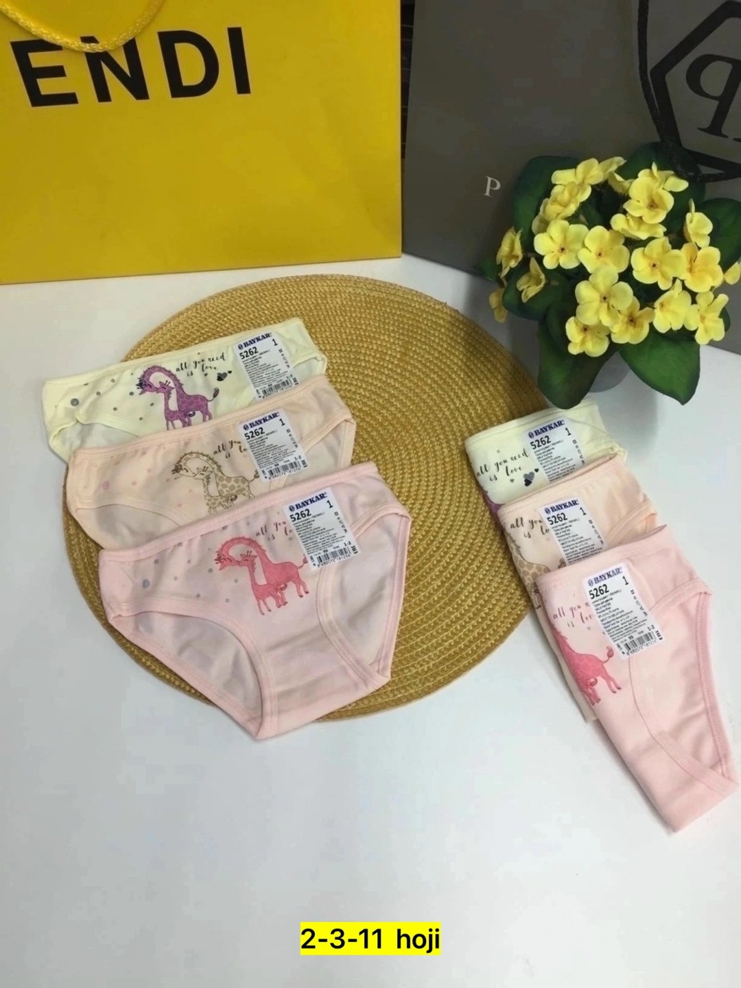 baykar трусы для девочки 5576,трусы для девочки,комплект трусов слипы baykar для девочек 3 шт,трусики для девочек,набор трусиков для девочек