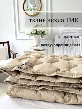 Одежда