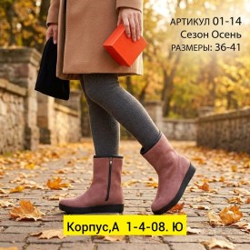 Сапоги