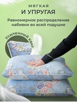 Одежда