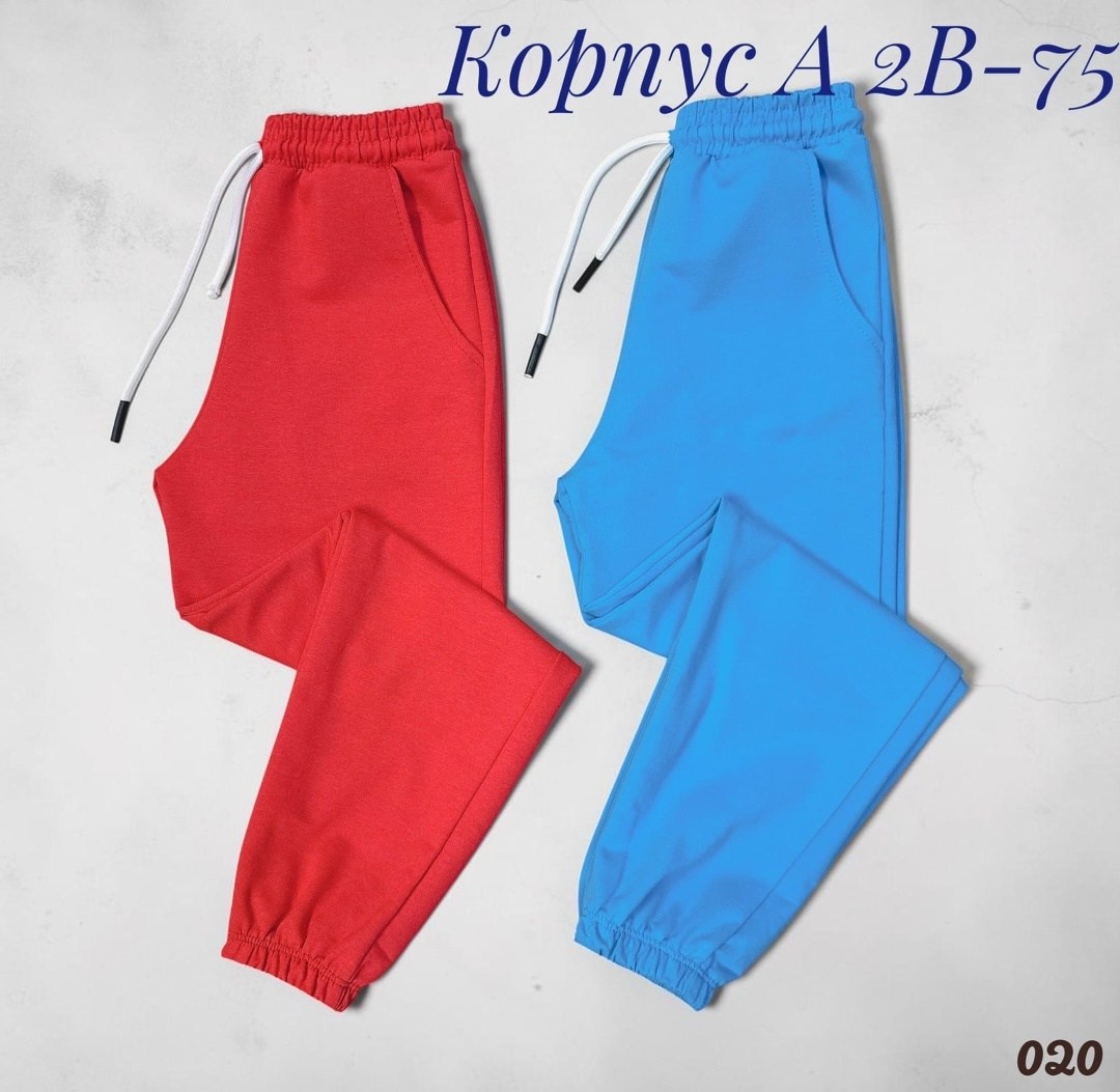брюки спортивные,спортивные брюки на флисе,штаны на флисе,спортивные штаны,брюки спортивные женские