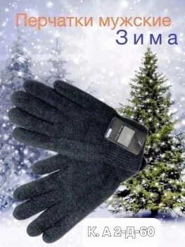 Одежда