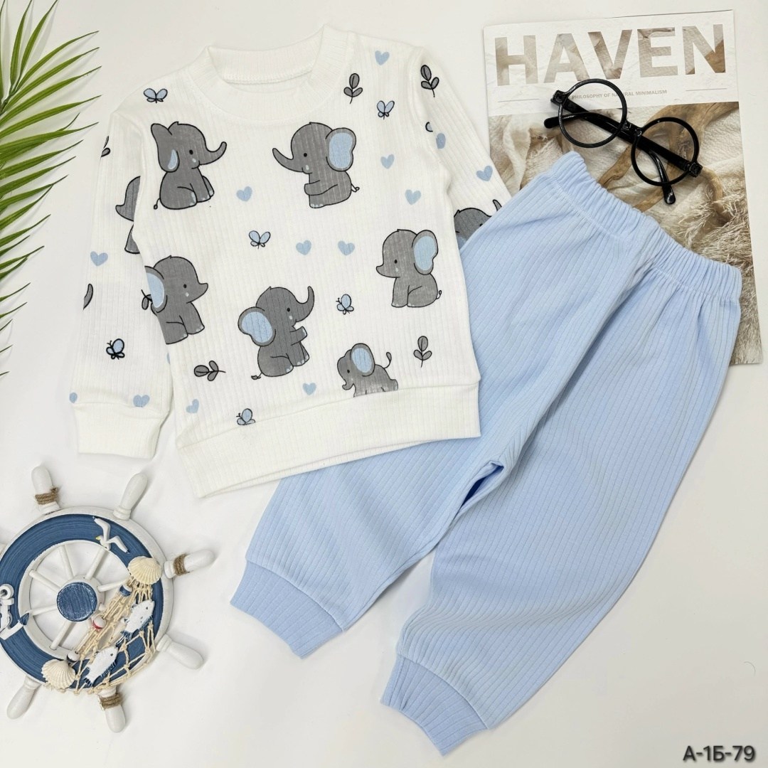 комплект одежды anilco baby,детские костюмы,комплект костюм,костюм двойка,одежда для малыша