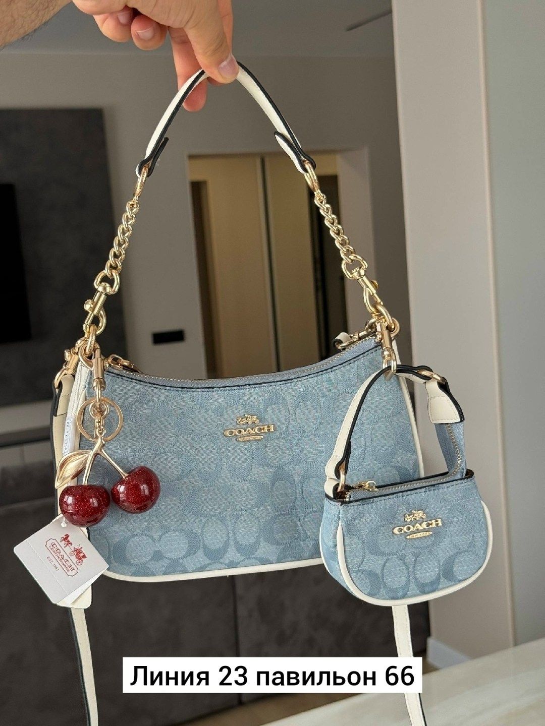 сумка женская coach,сумки модные,сумка coach,сумка,сумки женская
