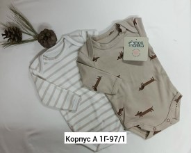 Боди