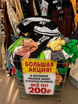 Одежда