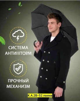 Одежда