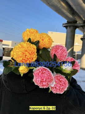 Цветы