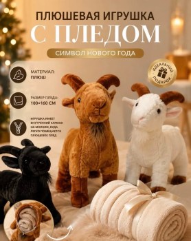 Одежда