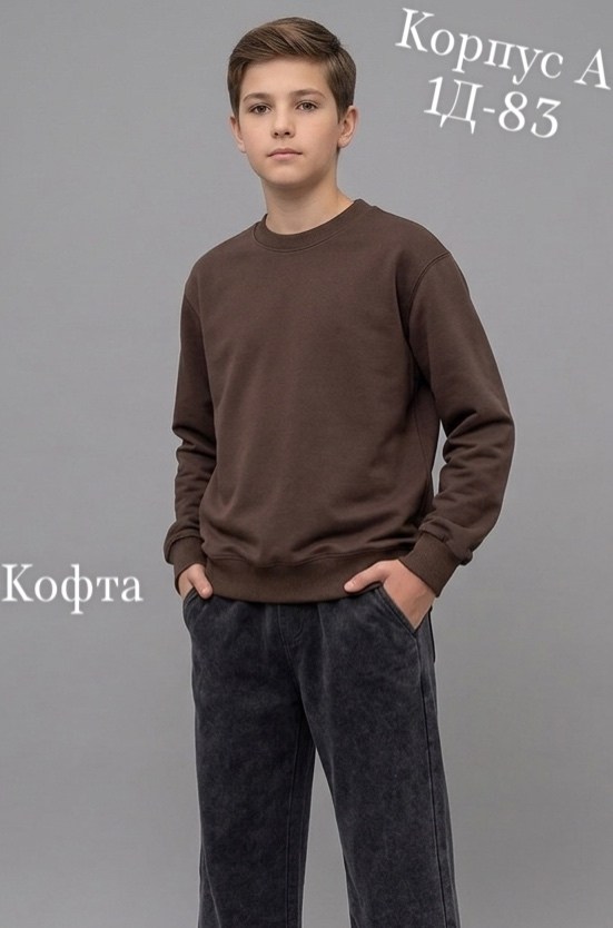 толстовка кофта,толстовка свитшот кофта,повседневный свитшот,свитшот толстовка,кофта свитер