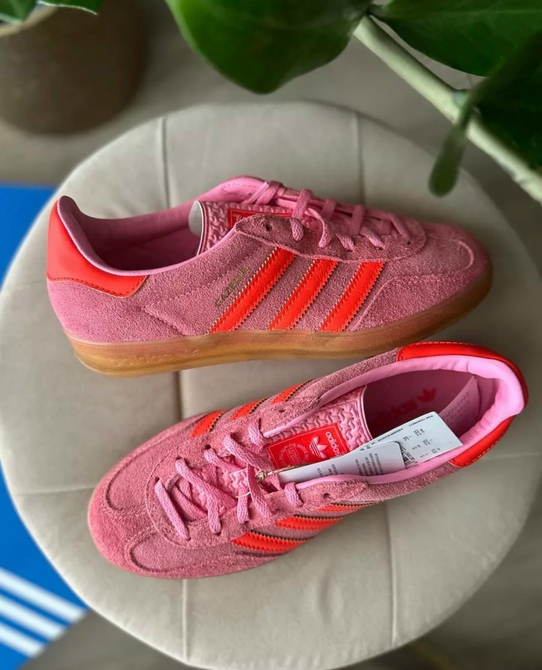 женские кроссовки adidas gazelle,кроссовки adida gazelle,adidas gazelle indoor bliss pink,кроссовки adidas gazelle indoor,adidas gazelle
